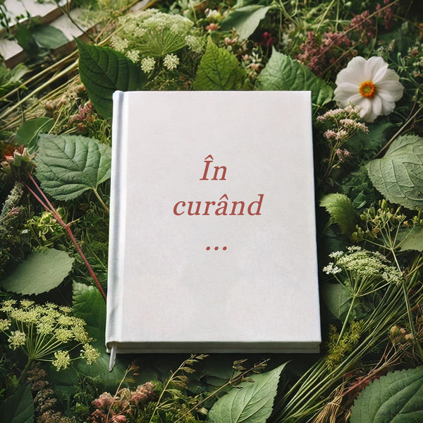 Consiliere creștină practică